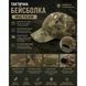 Тактична бейсболка з перфорацією, multicam. PRC. 100117X фото 5